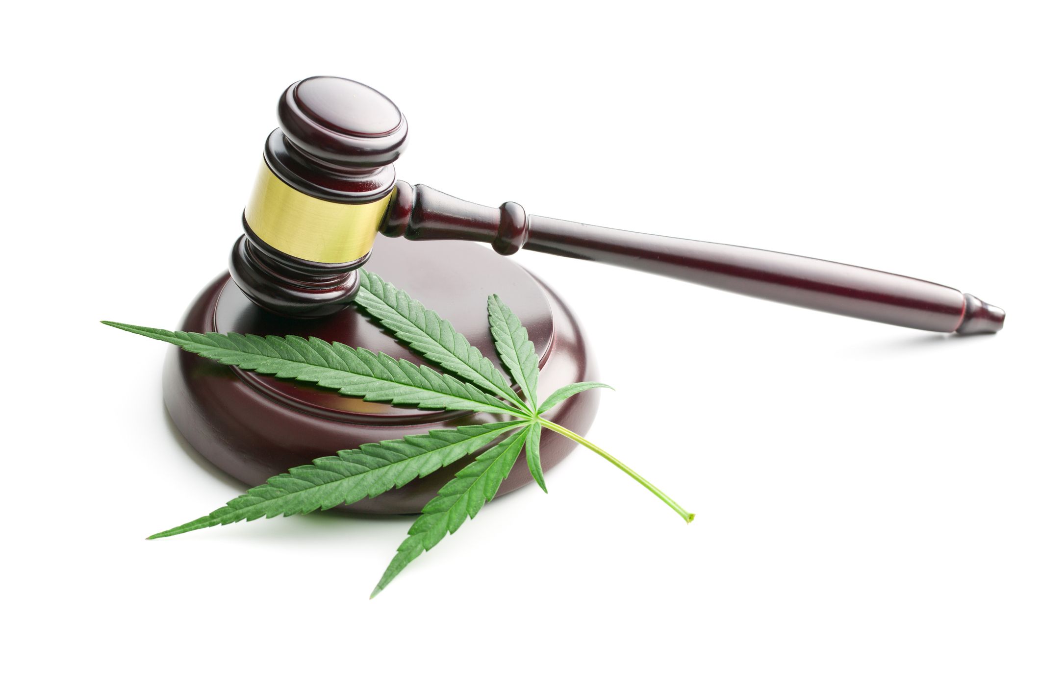 STJ: Expositores debatem uso medicinal da cannabis na primeira parte da audiência pública